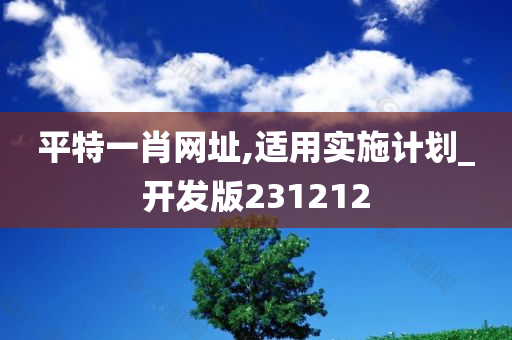 平特一肖网址,适用实施计划_开发版231212