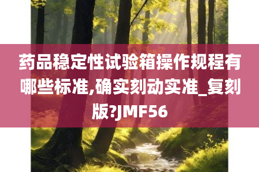 药品稳定性试验箱操作规程有哪些标准,确实刻动实准_复刻版?JMF56