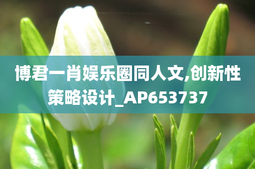 博君一肖娱乐圈同人文,创新性策略设计_AP653737