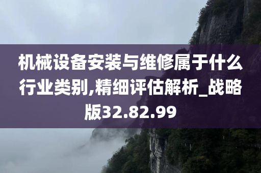 机械设备安装与维修属于什么行业类别,精细评估解析_战略版32.82.99