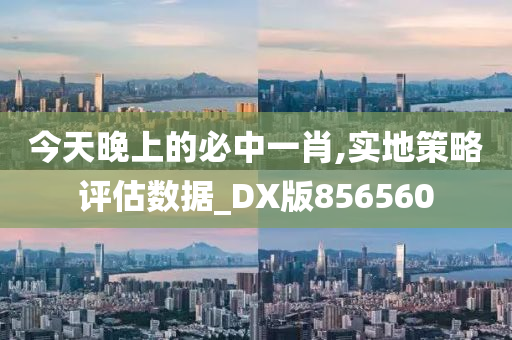 今天晚上的必中一肖,实地策略评估数据_DX版856560