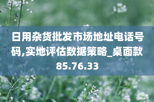 日用杂货批发市场地址电话号码,实地评估数据策略_桌面款85.76.33