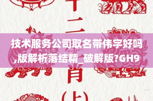 技术服务公司取名带伟字好吗,版解析落结精_破解版?GH9