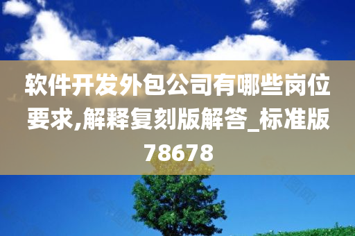 软件开发外包公司有哪些岗位要求,解释复刻版解答_标准版78678