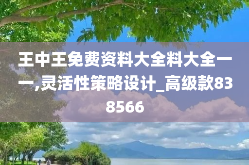 王中王免费资料大全料大全一一,灵活性策略设计_高级款838566