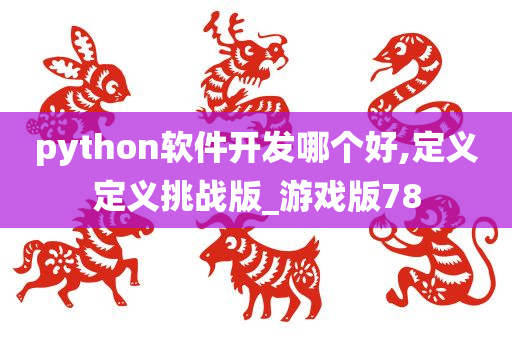 python软件开发哪个好,定义定义挑战版_游戏版78