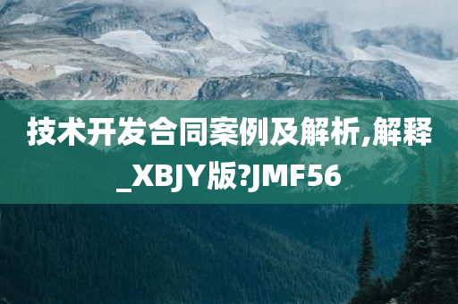 技术开发合同案例及解析,解释_XBJY版?JMF56