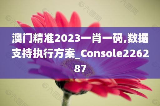 澳门精准2023一肖一码,数据支持执行方案_Console226287