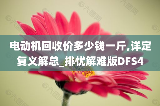 电动机回收价多少钱一斤,详定复义解总_排忧解难版DFS4