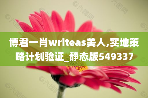 博君一肖writeas美人,实地策略计划验证_静态版549337