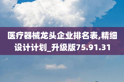 医疗器械龙头企业排名表,精细设计计划_升级版75.91.31