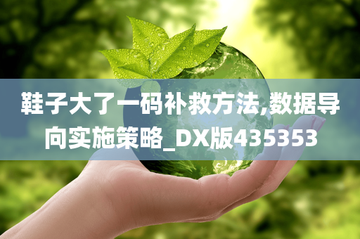 鞋子大了一码补救方法,数据导向实施策略_DX版435353