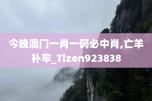 今晚澳门一肖一码必中肖,亡羊补牢_Tizen923838