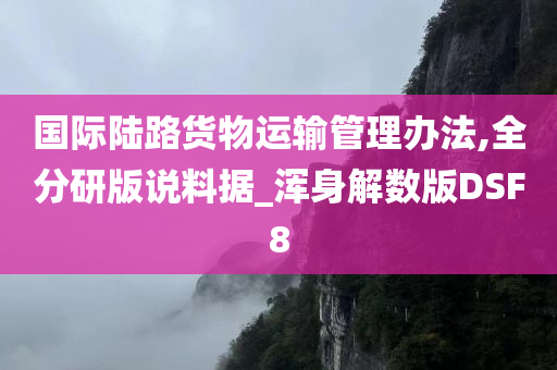 国际陆路货物运输管理办法,全分研版说料据_浑身解数版DSF8