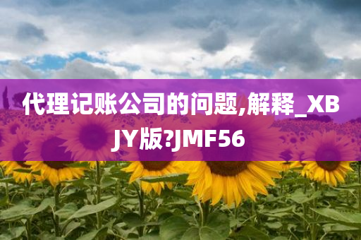 代理记账公司的问题,解释_XBJY版?JMF56