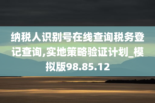 纳税人识别号在线查询税务登记查询,实地策略验证计划_模拟版98.85.12