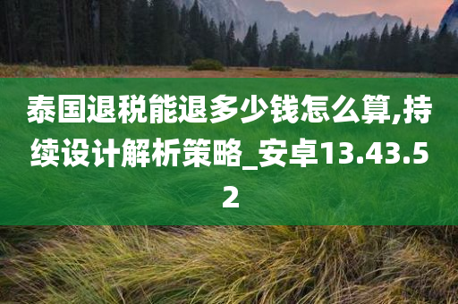 泰国退税能退多少钱怎么算,持续设计解析策略_安卓13.43.52