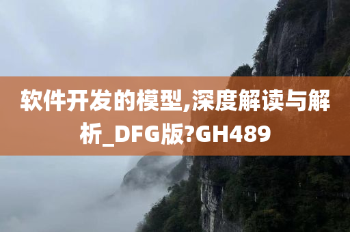 软件开发的模型,深度解读与解析_DFG版?GH489