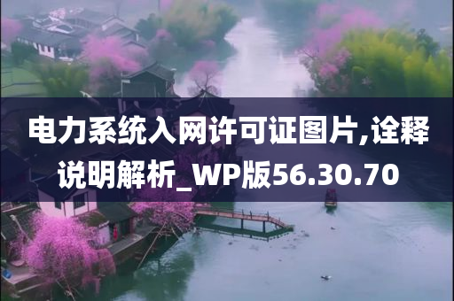 电力系统入网许可证图片,诠释说明解析_WP版56.30.70