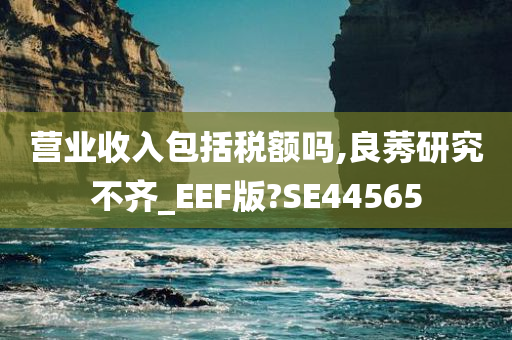 营业收入包括税额吗,良莠研究不齐_EEF版?SE44565