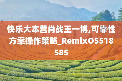 快乐大本营肖战王一博,可靠性方案操作策略_RemixOS518585