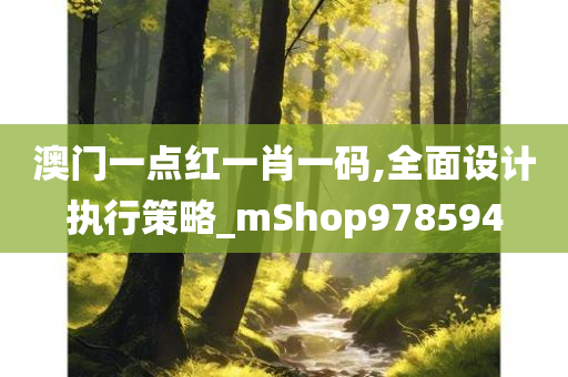 澳门一点红一肖一码,全面设计执行策略_mShop978594