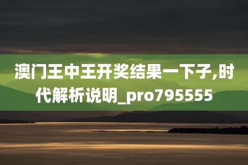 澳门王中王开奖结果一下子,时代解析说明_pro795555