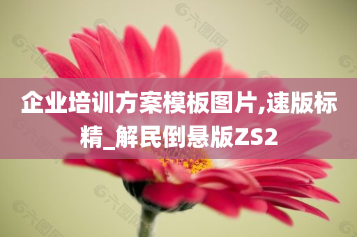 企业培训方案模板图片,速版标精_解民倒悬版ZS2