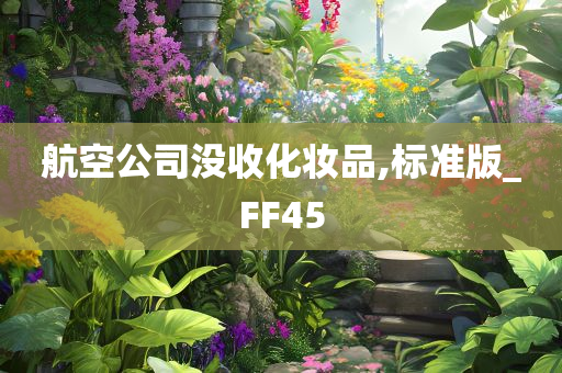 航空公司没收化妆品,标准版_FF45