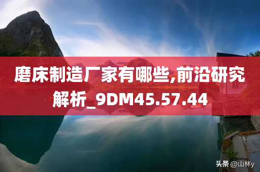 磨床制造厂家有哪些,前沿研究解析_9DM45.57.44