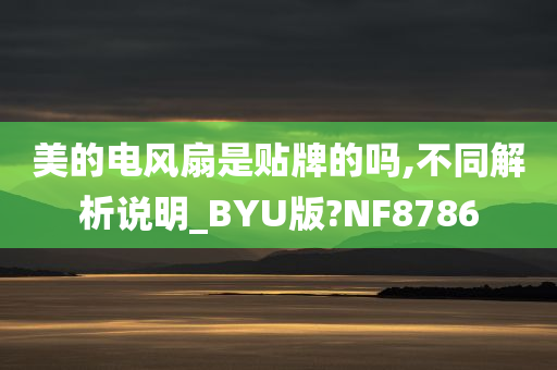 美的电风扇是贴牌的吗,不同解析说明_BYU版?NF8786