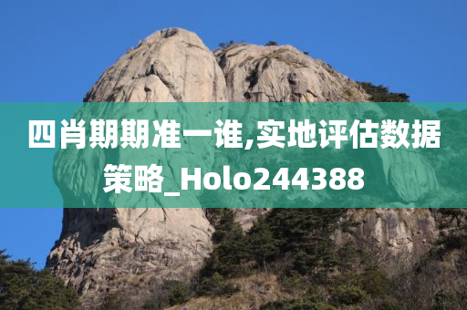 四肖期期准一谁,实地评估数据策略_Holo244388