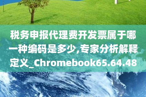 税务申报代理费开发票属于哪一种编码是多少,专家分析解释定义_Chromebook65.64.48