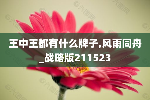 王中王都有什么牌子,风雨同舟_战略版211523