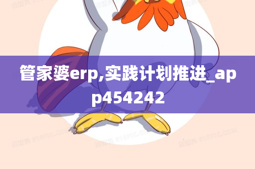 管家婆erp,实践计划推进_app454242