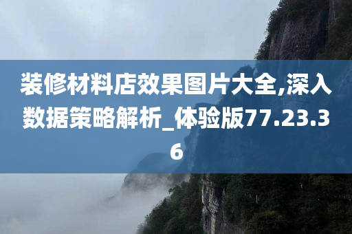 装修材料店效果图片大全,深入数据策略解析_体验版77.23.36