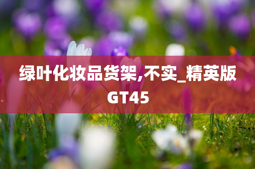 绿叶化妆品货架,不实_精英版GT45