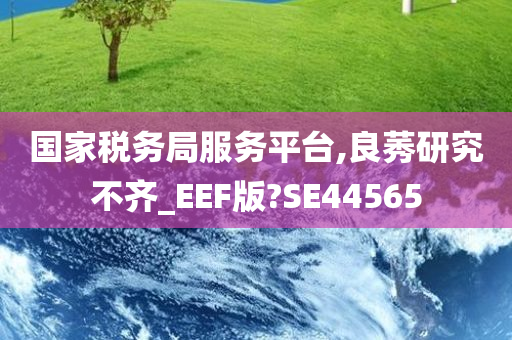 国家税务局服务平台,良莠研究不齐_EEF版?SE44565