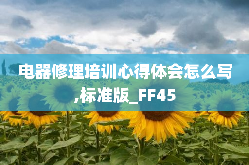 电器修理培训心得体会怎么写,标准版_FF45