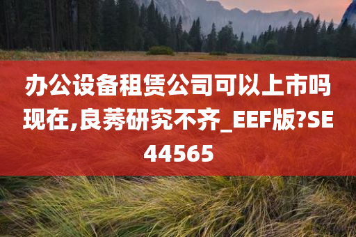 办公设备租赁公司可以上市吗现在,良莠研究不齐_EEF版?SE44565