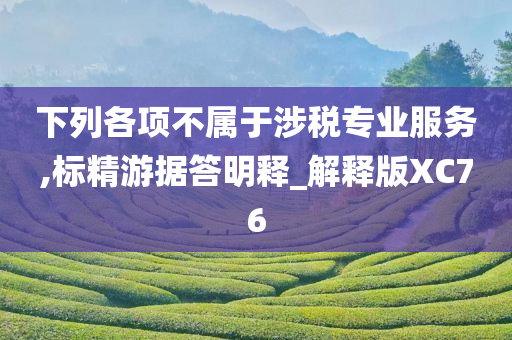 下列各项不属于涉税专业服务,标精游据答明释_解释版XC76