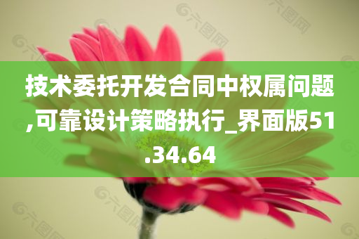 技术委托开发合同中权属问题,可靠设计策略执行_界面版51.34.64