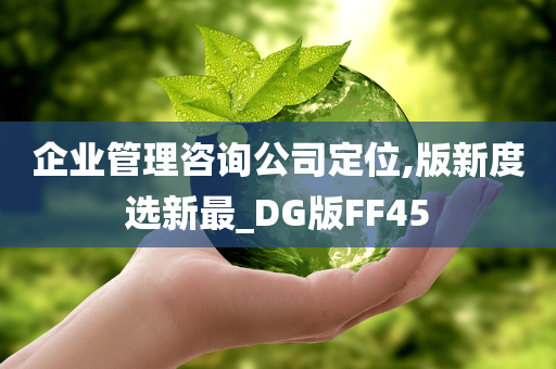 企业管理咨询公司定位,版新度选新最_DG版FF45