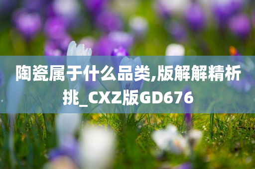 陶瓷属于什么品类,版解解精析挑_CXZ版GD676