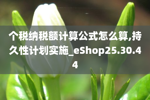 个税纳税额计算公式怎么算,持久性计划实施_eShop25.30.44