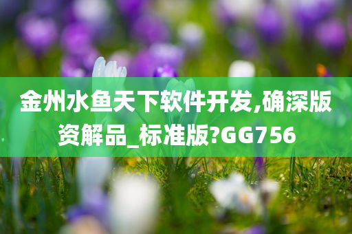 金州水鱼天下软件开发,确深版资解品_标准版?GG756