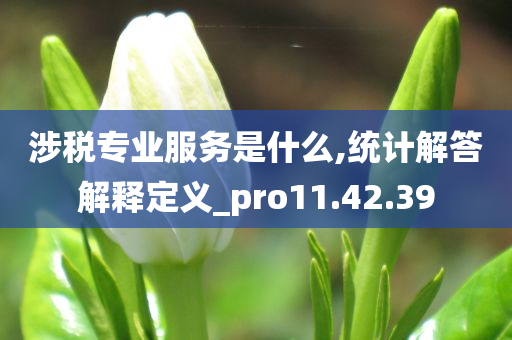 涉税专业服务是什么,统计解答解释定义_pro11.42.39