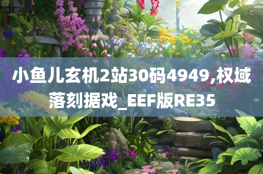 小鱼儿玄机2站30码4949,权域落刻据戏_EEF版RE35