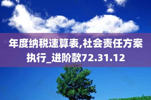 年度纳税速算表,社会责任方案执行_进阶款72.31.12