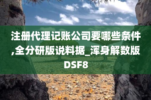 注册代理记账公司要哪些条件,全分研版说料据_浑身解数版DSF8